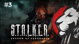 Превью: Cake в Stalker: Тень Чернобыля. Нарезка #3