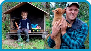 Превью: МЕЧТАЛ О НЕЙ ВСЮ ЖИЗНЬ! ЗНАКОМЬТЕСЬ — АЛЬФА!
