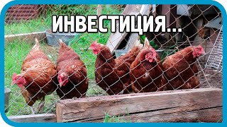 Превью: Содержание кроликов зимой