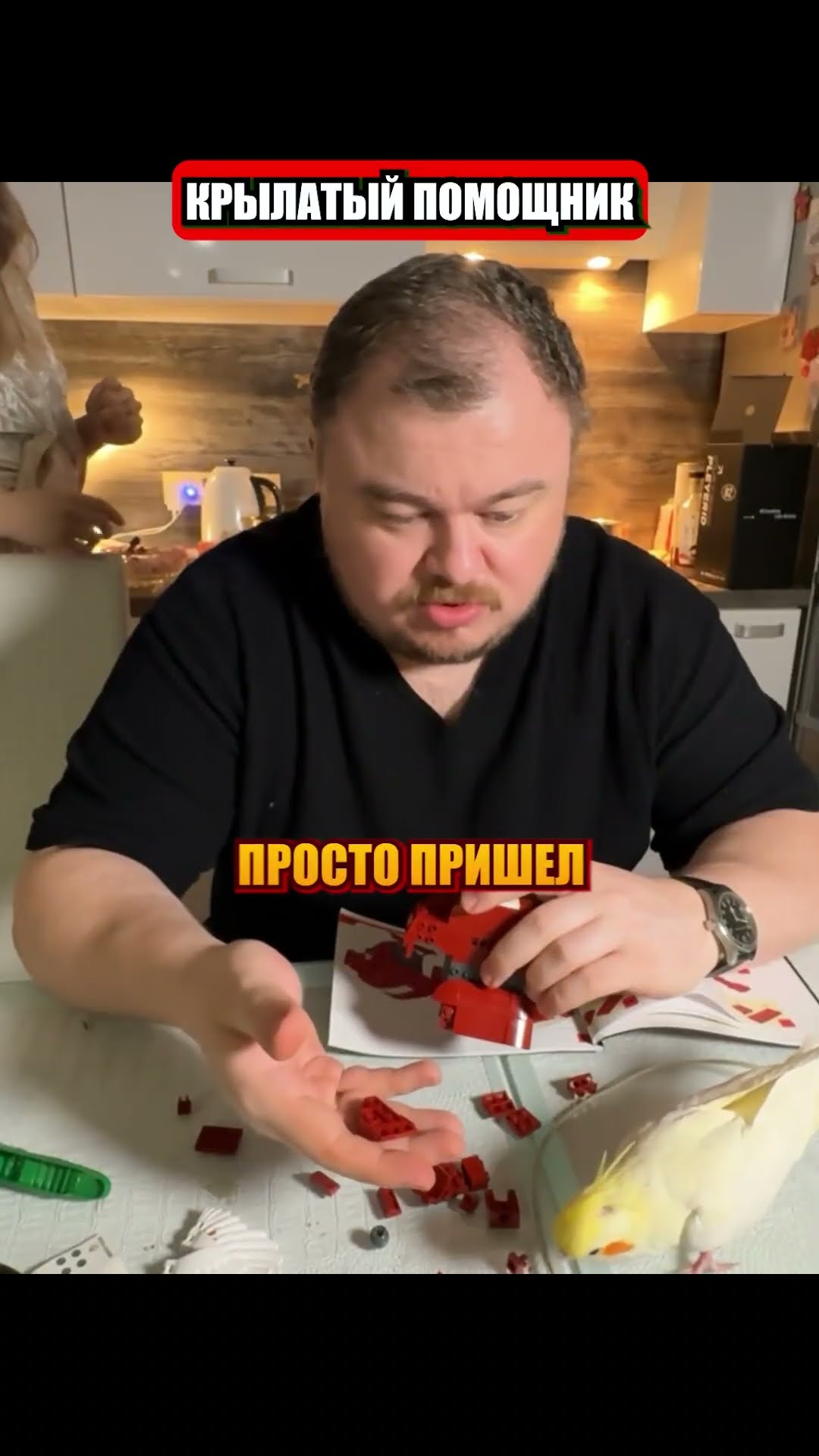 Превью: крылатый помощник