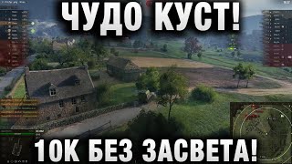 Превью: ЧУДО КУСТ! 10К БЕЗ ЗАСВЕТА! С ПИВОМ В РУКЕ!