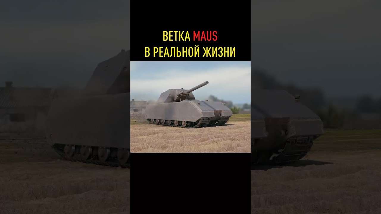Ветка Maus в реальной жизни. Про кого еще делаем? #миртанков #танки