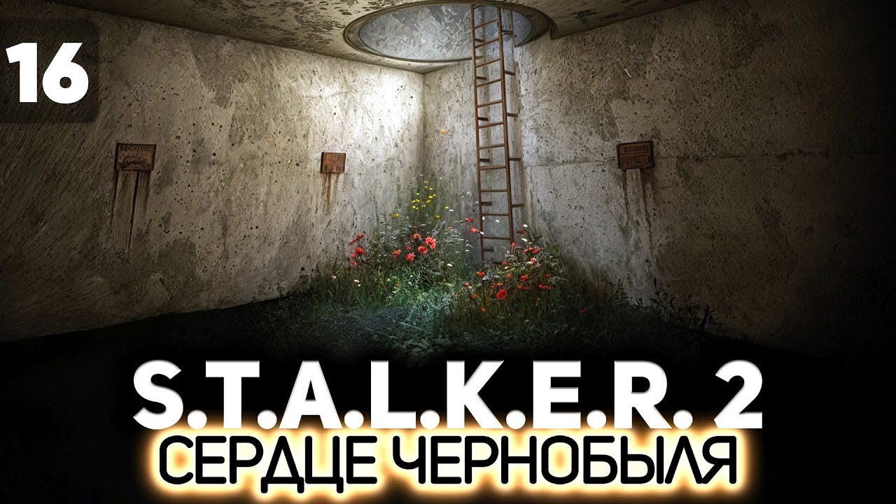 Сидорович, Кордон и бункеры ☢️ S.T.A.L.K.E.R. 2: Heart of Chornobyl [PC 2024] #16