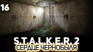 Превью: Сидорович, Кордон и бункеры ☢️ S.T.A.L.K.E.R. 2: Heart of Chornobyl [PC 2024] #16