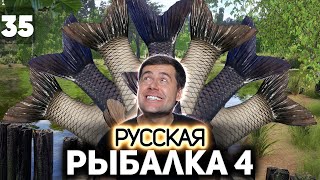 Превью: В погоне за трофеями. Сура, Медвежье и Донец 🐟 Русская Рыбалка 4 [PC 2018] #35