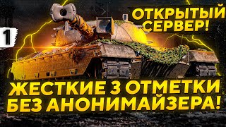 Превью: ЖЕСТКИЕ ОТМЕТКИ. Без анонимайзера. Открытый сервер. Kpz 50 t. Серия 1. (15,99 % старт)