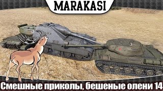 Превью: Смешные приколы, бешеные олени 14 им ничего за это не будет в wot