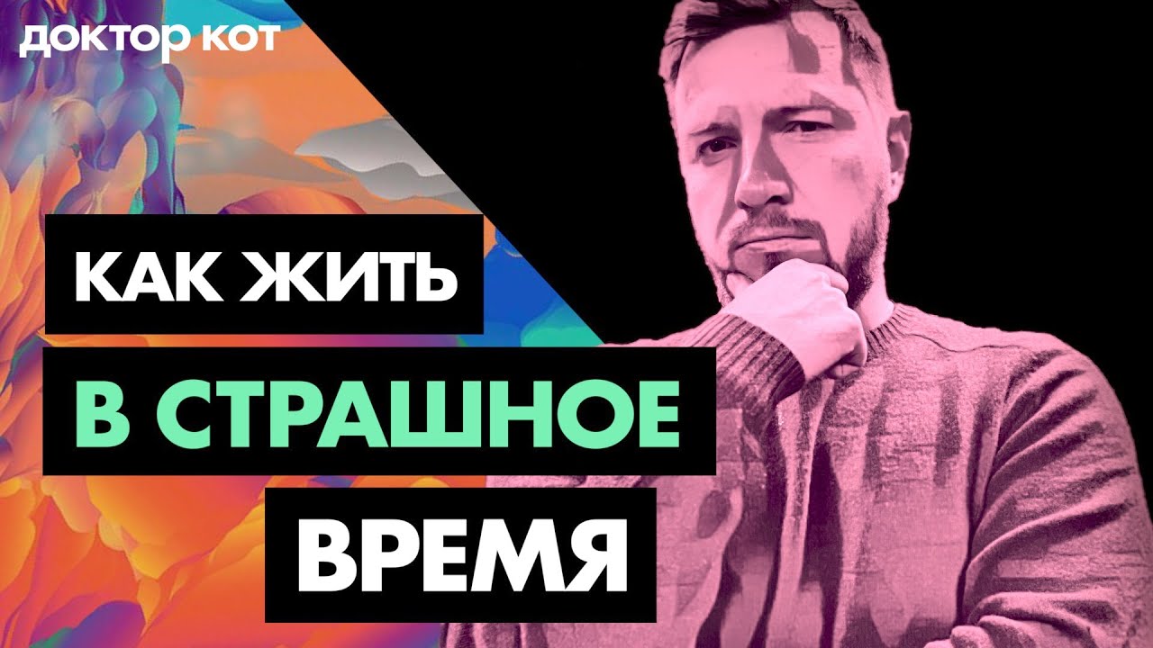 Жизнь, IT и будущее рушатся — где взять силы пережить худшие времена — Доктор кот