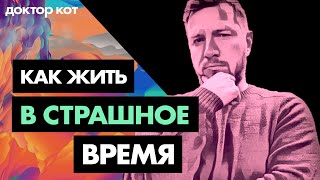 Превью: Жизнь, IT и будущее рушатся — где взять силы пережить худшие времена — Доктор кот