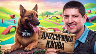 Превью: ДРЕССИРОВКА ДЖОВА К ТУРНИРУ. Левша Кинолог