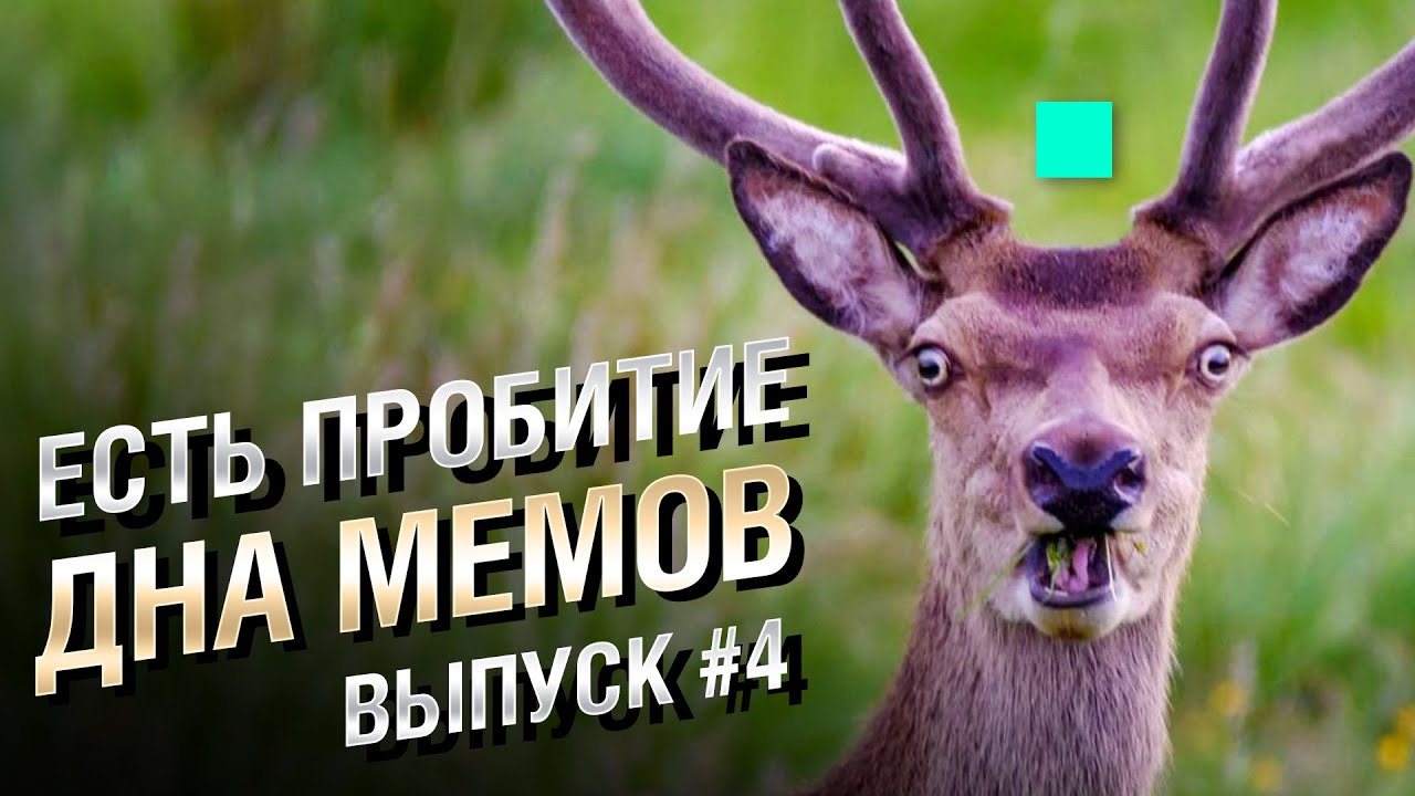 ЕСТЬ ПРОБИТИЕ... ДНА МЕМОВ - Выпуск №4 [World of Tanks]