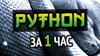 Превью: Учим Python за 1 час! #ОтПрофессионала | HD Remake