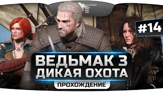 Превью: Прохождение Ведьмак 3: Дикая Охота #14. Возвращение в Велен и Новиград.