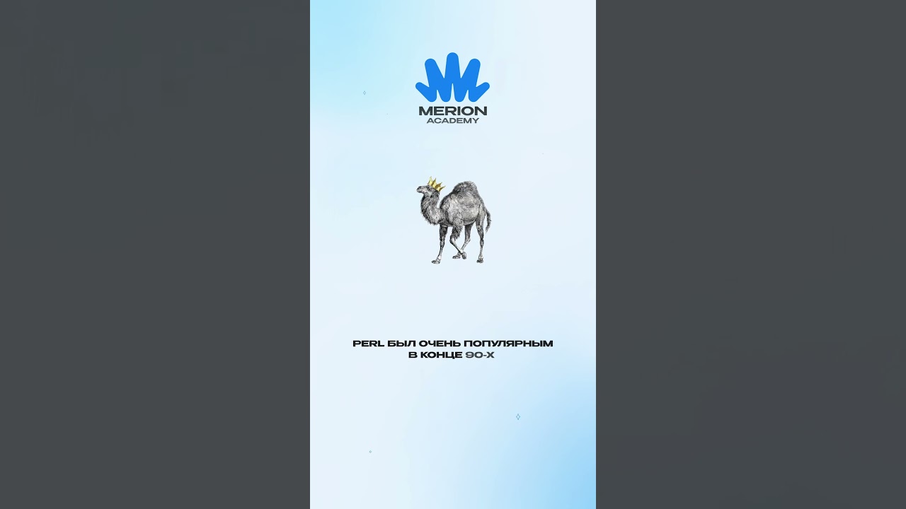 За что не любят Perl?