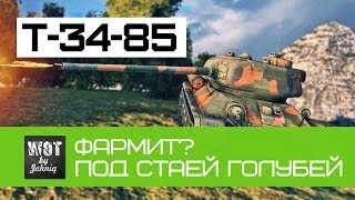 Превью: T-34-85 Фармит? (Под стаей чернобыльских голубей)