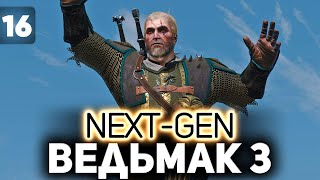 Превью: Щеголяем в новой броне ⚔️ The Witcher 3: Wild Hunt — Next-Gen Update [PC 2022] Часть 16