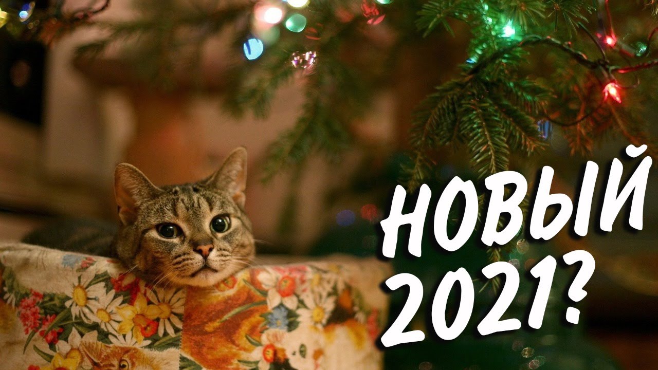 НОВЫЙ 2021? НИЧЕГО НЕ МЕНЯЕТСЯ😅ВЗВОД С ПАЛЫЧЕМ