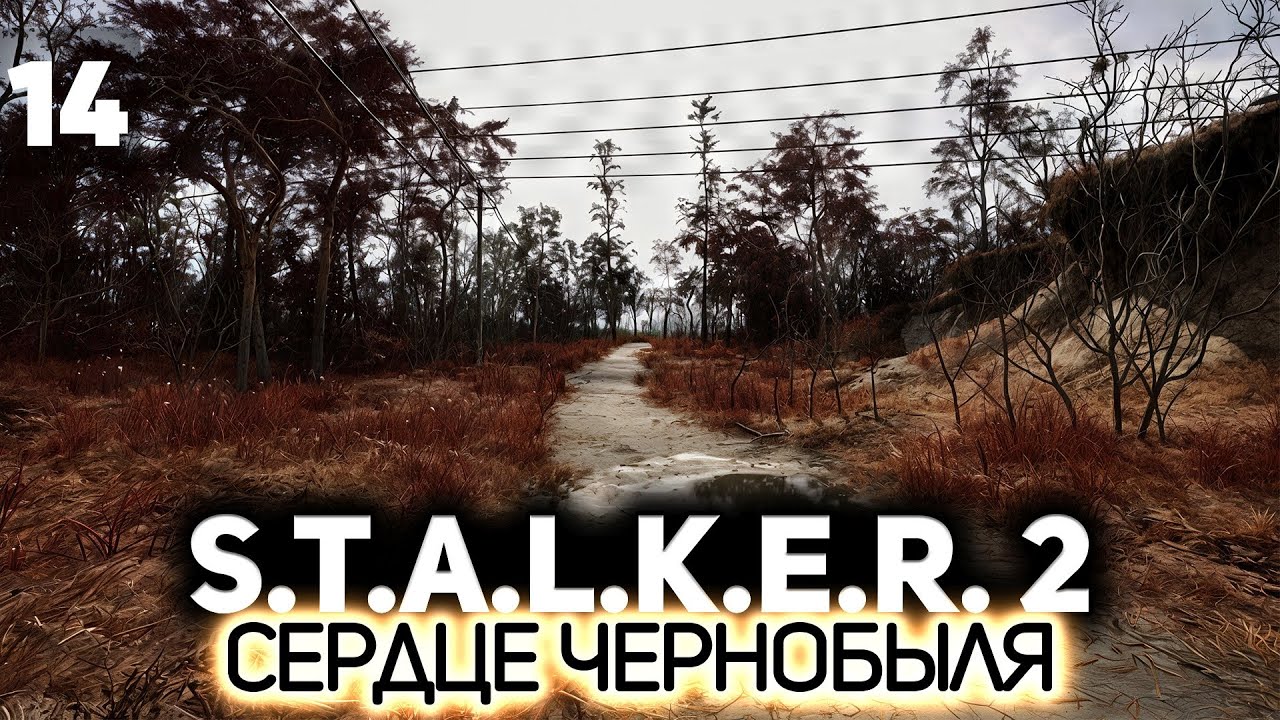 Рыжий лес ☢️ S.T.A.L.K.E.R. 2: Heart of Chornobyl [PC 2024] #14