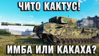 Превью: ЧИТО КАКТУС! ИМБА ИЛИ КАКАХА?