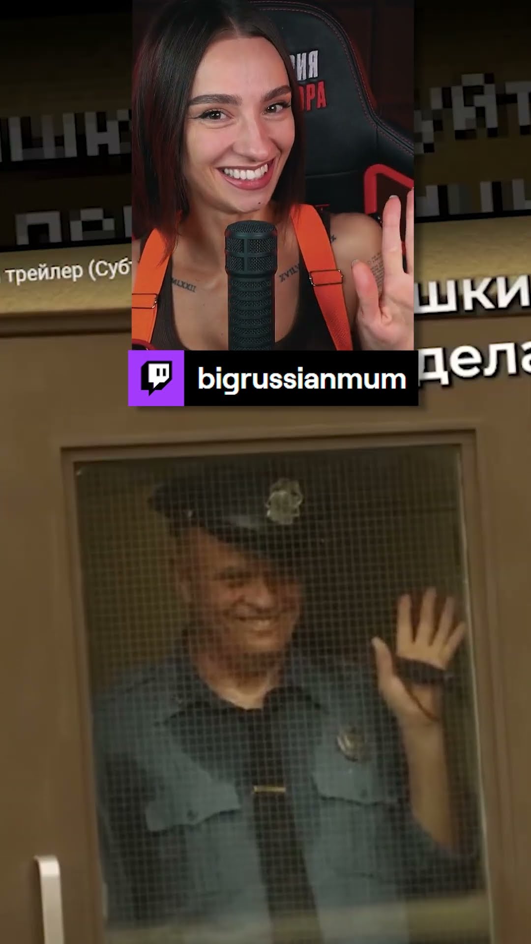 Превью: ТИПИЧНЫЙ МОДЕРАТОР | BRM  #twitch #brm