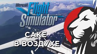 Превью: Cake в Flight Simulator