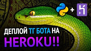 Превью: Программируем телеграм бота и деплоим на Heroku!