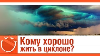 Превью: Кому хорошо жить в циклоне?