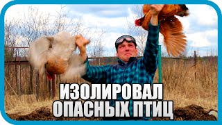 Превью: Делаю загон для птицы. Теперь всё под контролем...