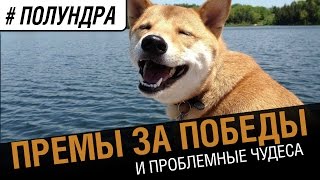 Превью: #полундра - пять халявных премов