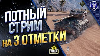 Превью: Потный Стрим на 3 Отметки / AMX 12 t