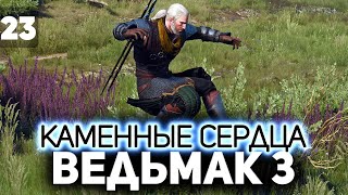 Превью: Новые квесты. DLC Каменные Сердца ⚔️ The Witcher 3: Wild Hunt — Next-Gen Update [PC 2022] Часть 23