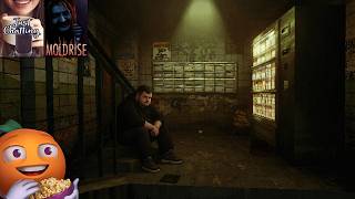 Превью: Общение | MOLDRISE | Cтрим от 04/10/2026