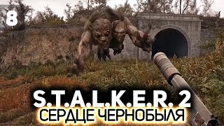 Превью: Болотная химера делает нам больно ☢️ S.T.A.L.K.E.R. 2: Heart of Chornobyl [PC 2024] #8