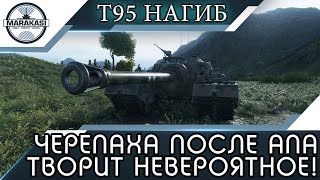 Превью: НЕВОЗМУТИМАЯ ЧЕРЕПАХА ПОСЛЕ АПА ТВОРИТ НЕВЕРОЯТНОЕ!