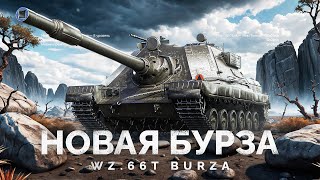 Превью: Burza - НОВЫЙ ПРЕМ - СТОИТ БРАТЬ?