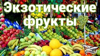 Превью: Экзотические фрукты. Гайд