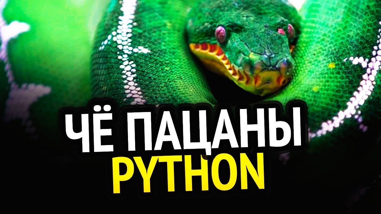 PYTHON | 3 книги, которые сделают из тебя мастера