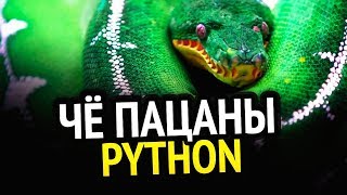 Превью: PYTHON | 3 книги, которые сделают из тебя мастера