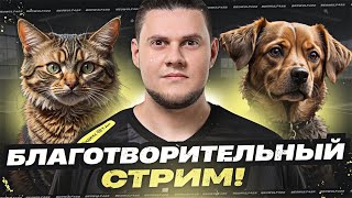 Превью: 🔥БЛАГОТВОРИТЕЛЬНЫЙ СТРИМ ● ПОМОГИ СОБАКАМ!