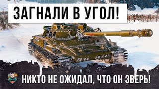 Превью: Вот, что бывает когда зверя загоняют в угол! На него упоролось пол-команды и вот, что произошло!