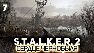 Превью: Топаем на болота ☢️ S.T.A.L.K.E.R. 2: Heart of Chornobyl [PC 2024] #7