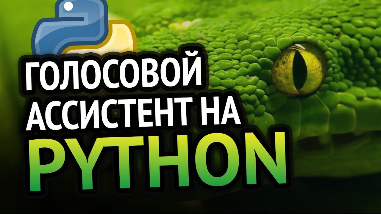 Голосовой ассистент на 🐍 Python | Урок как сделать?