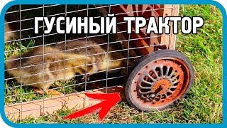 Превью: СПАСТИ ГУСЯТ ОТ НЕПРИЯТЕЛЯ! Делаем &quot;Гусиный трактор&quot;