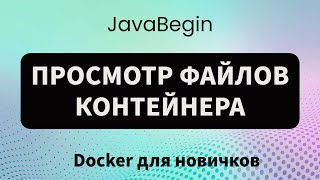 Превью: Основы Docker: просмотр файлов контейнера (2023)