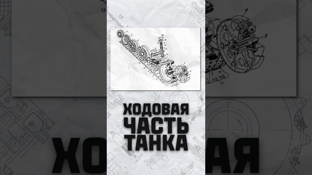 Ленивы ли ленивцы? #миртанков #shorts #история #ленивец