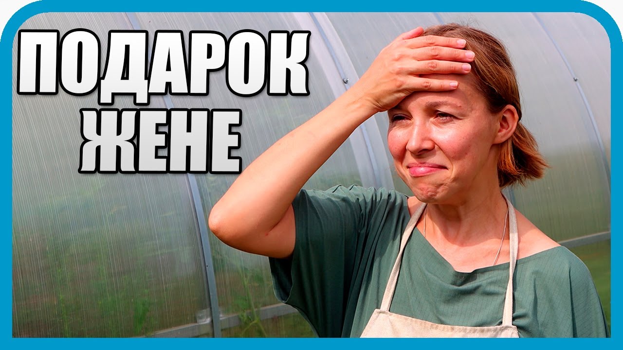 НЕ ДУМАЛ, ЧТО ПОДАРЮ ЖЕНЕ ЭТО! ВОТ Я ПОПАЛ...