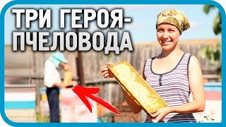 Превью: ТРИ ГЕРОЯ-ПЧЕЛОВОДА и почему я не занимаюсь пчёлами?