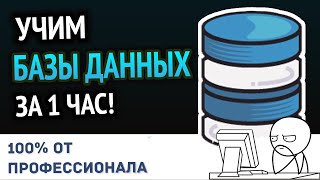 Превью: Учим Базы Данных за 1 час! #От Профессионала