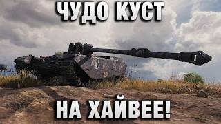Превью: ЧУДО КУСТ НА ХАЙВЕЕ!