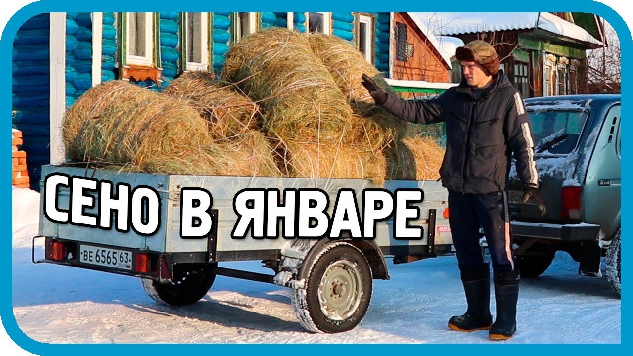 ДОКАТИЛИСЬ! ЗАГОТОВКА СЕНА В ЯНВАРЕ! ОБЗОР КРОЛИКОВ!